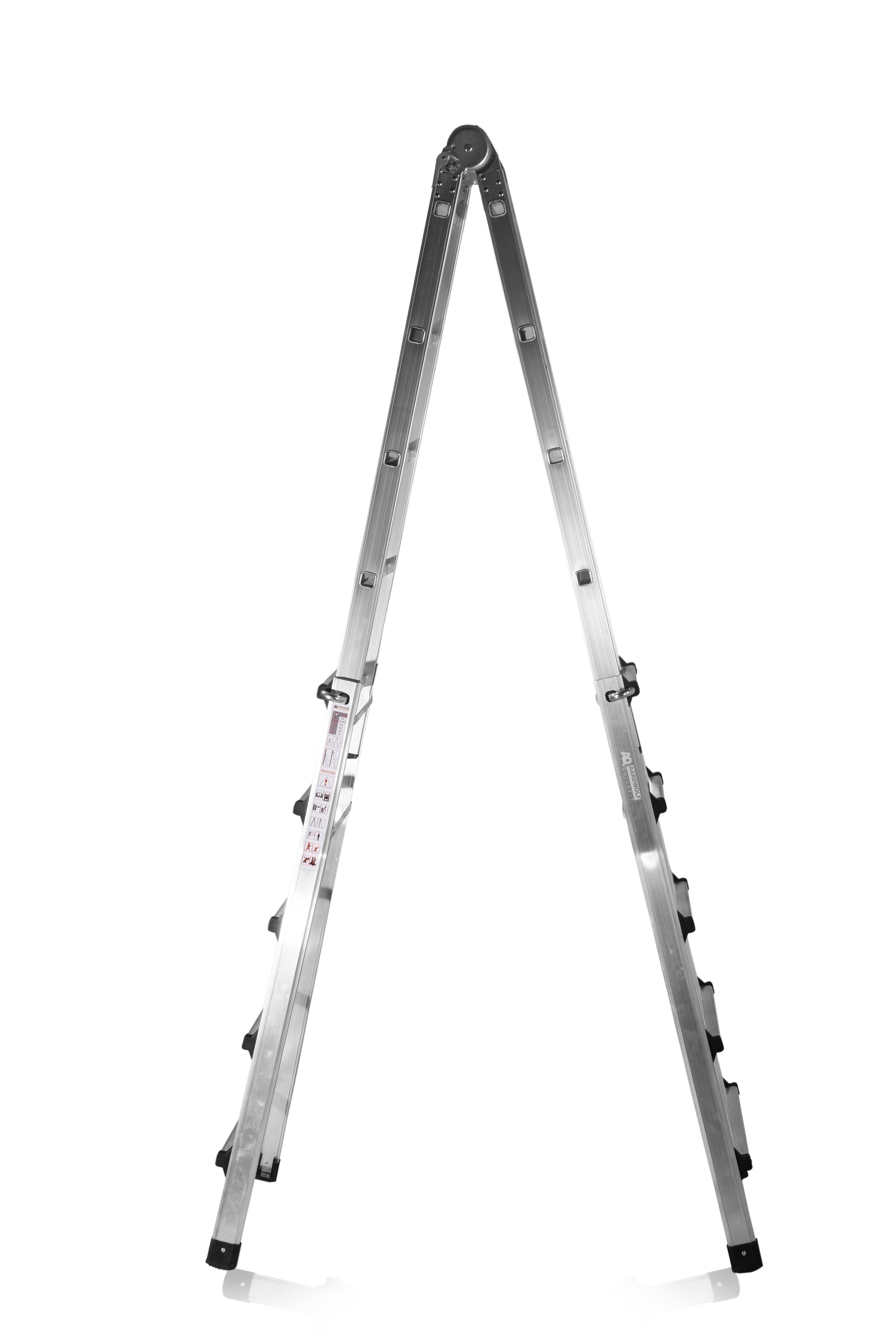 Combination ladder