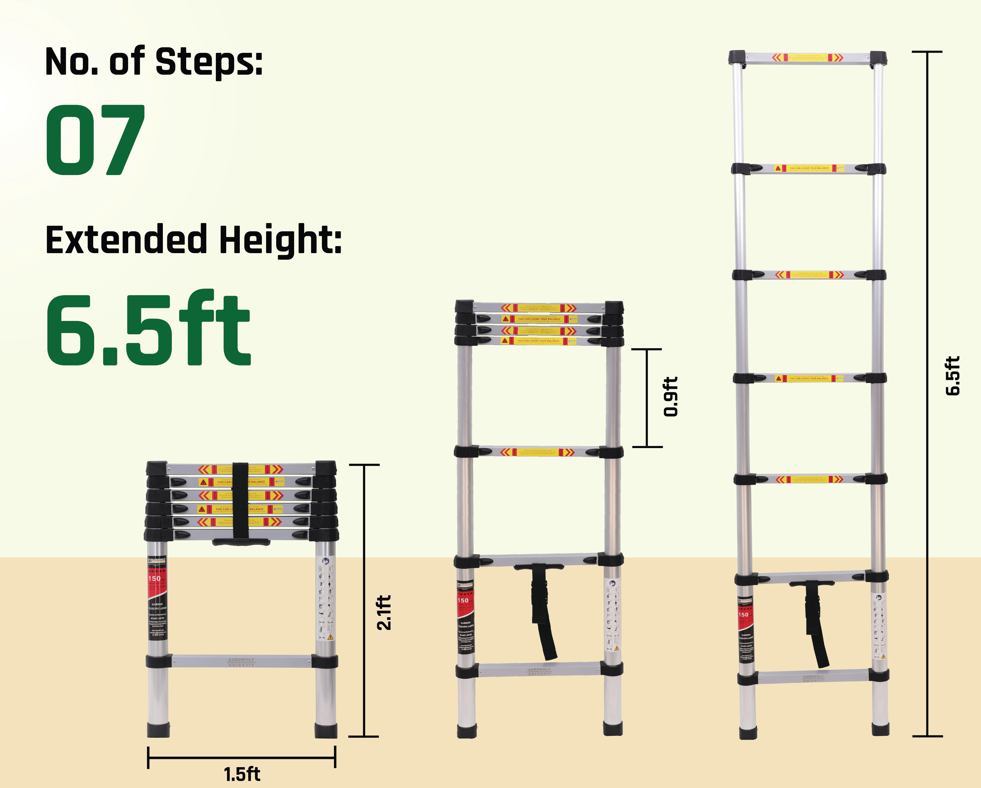 Telescopic Ladder
